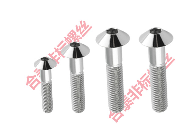 不銹鋼傘頭鏡面螺絲